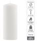 Set de lumânări tip pilon, 25 cm, Ø 10 cm, alb, 2 buc