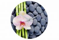 Ceas de perete WENKO 37 cm - SPA