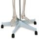 Model schelet anatomic, 181,5 cm