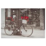 Pictură murală ,bicicleta cu poinsettia  40 x 60 cm