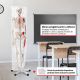 JAGO Anatomia umană Schelet cu detalii de musculari, 181 cm