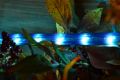 Cablu luminos LED - 360 minibeculețe, 10 m, albastru