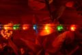 Cablu luminos - 360 mini becuri, 20 m, multicolor