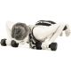 Set de 2 gantere cu husa din neopren 1 kg MOVIT