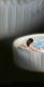 Jacuzzi gonflabil Whirlpool Pure Spa - Bubble HWS