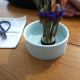Ikebana - set pentru aranjamente florale