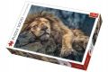 TEDDIES Leul adormit Puzzle 1000 piese, 40 x 27 x 6 cm