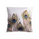 Husă de pernă Pene de păun, 45 x 45 cm
