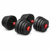 Set gantere 2 în 1, 30 kg, cu discuri din plastic și ciment