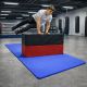 Saltea gimnastică EVA 210×110 cm albastră, suprafață netedă/