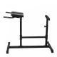 Physionics Hyperextension aparat antrenament spate, 115 x 67