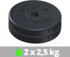 Set discuri fitness 2x2,5 kg, plastic, orificiu 30 mm