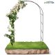 Arcada de grădină Anaterra pentru plante cățărătoare, 2 buc,