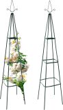 Suport metalic pentru plante cățărătoare, 195 cm, set 2 bucă