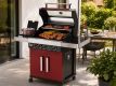 Maxxus Grill pe gaz BBQ Chief 6.0, roșu