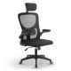 Scaun de birou ergonomic cu suport lombar și tetieră, negru